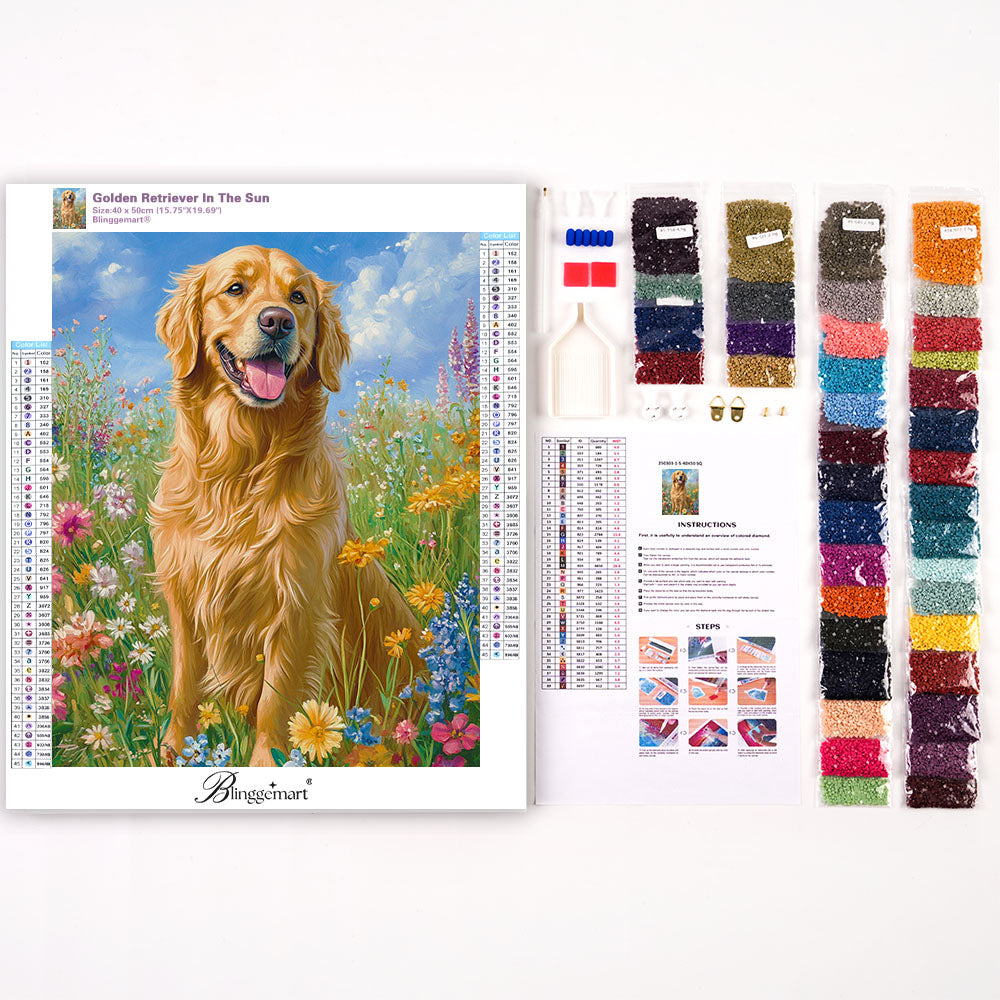 Golden Retriever in der Sonne