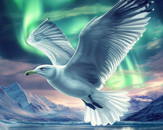 Möwe unter Nordlichtern